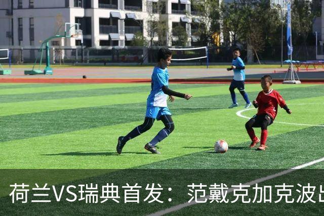 荷兰VS瑞典首发：范戴克加克波出战 伊萨克配约克雷斯